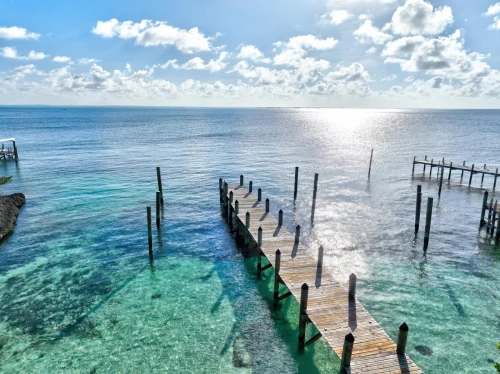 Tester Adventure for Food, Sailing and Scuba Diving