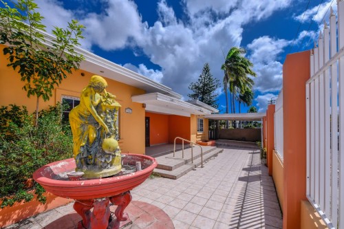 Tester Adventures for Tours and Sailing